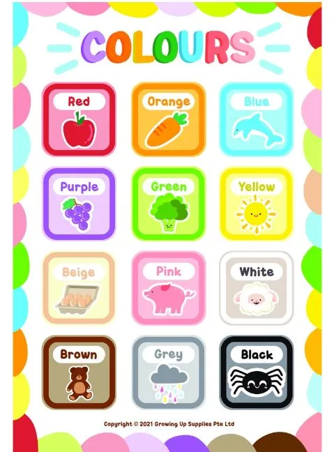 Growing Up Educational Posters (Set of 8) - General Knowledge (28X40cm)