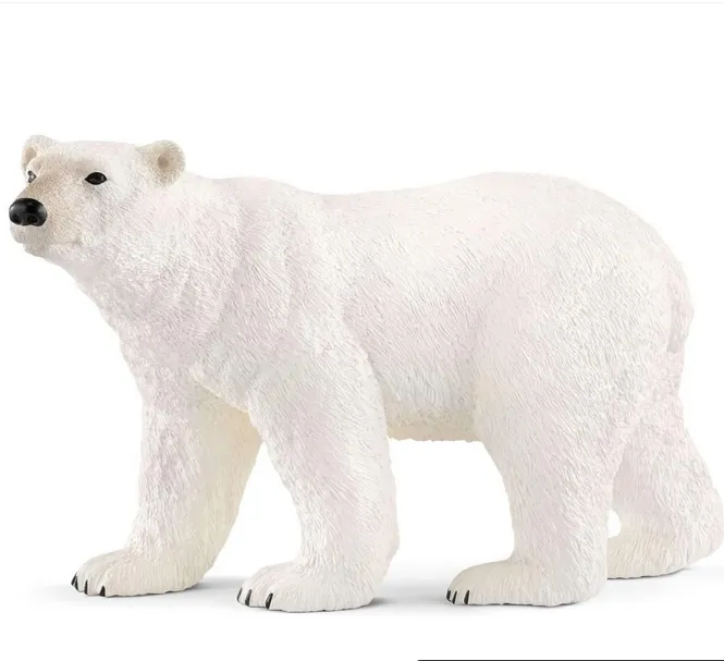 Polar Bear